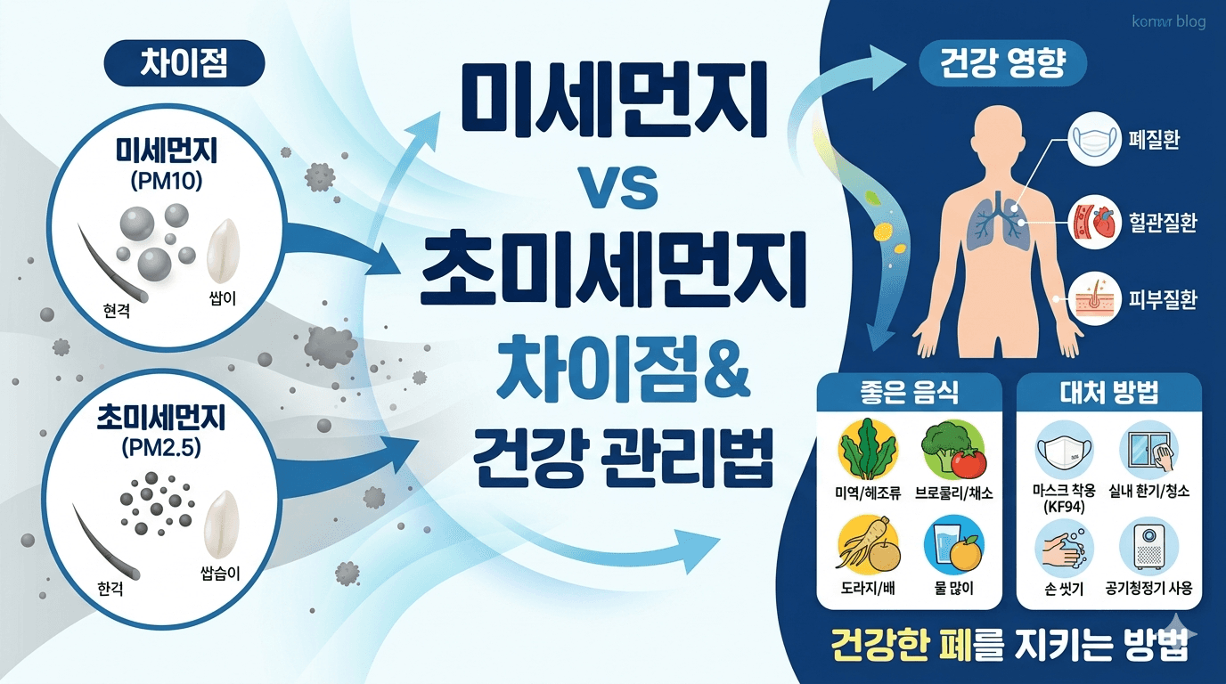 미세먼지와 초미세먼지 차이, 안좋은 이유와 미세먼지에 좋은 음식